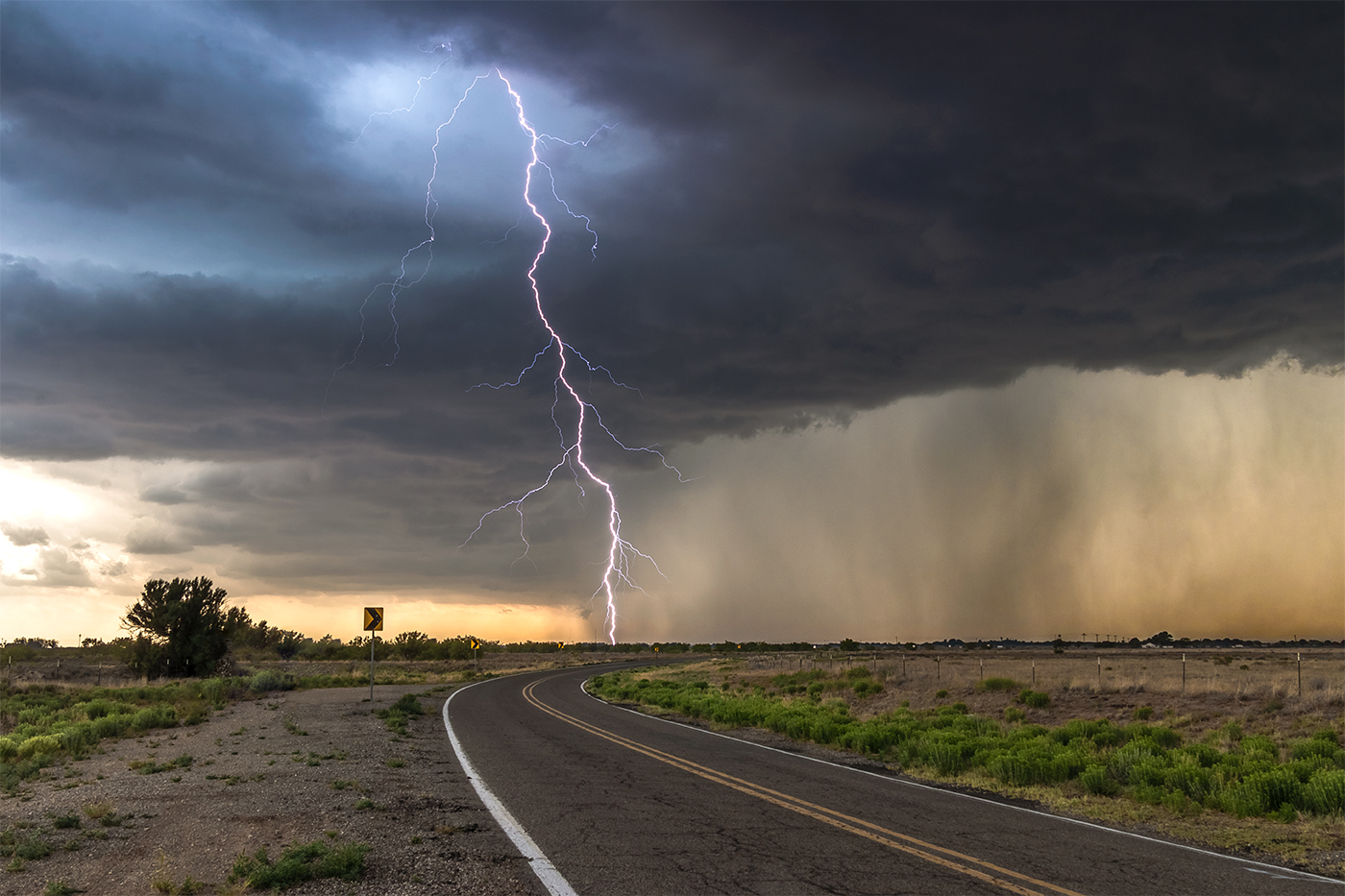 A bright, violent, multi coloured, many branched lightning bolt from a developing supercell near Hagerman, New Mexico.