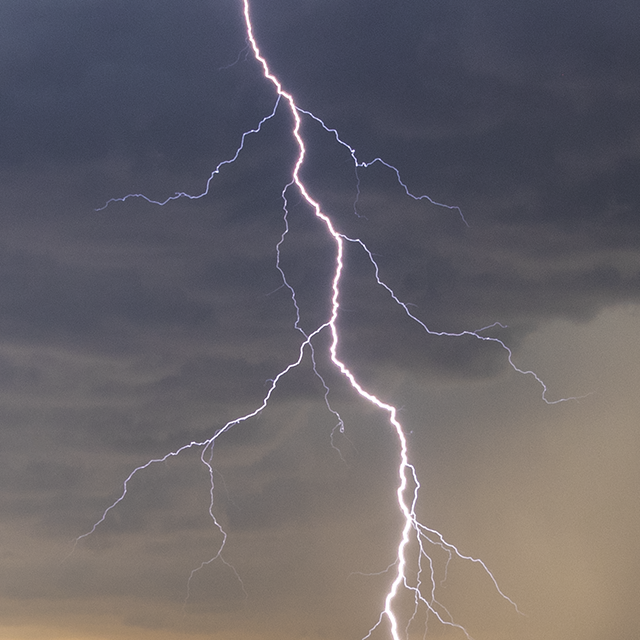 Closeup of forked lightning containing many colourful branches near Hagerman, NM