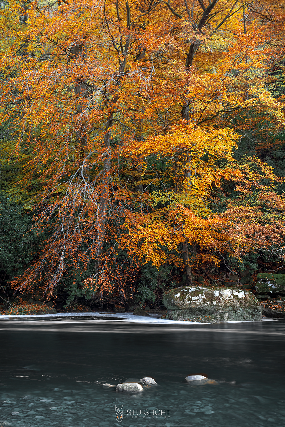 A tranquil river leads past the vibrant autumn landscape, framed by trees of red and yellow in the background, embodying nature's beauty.