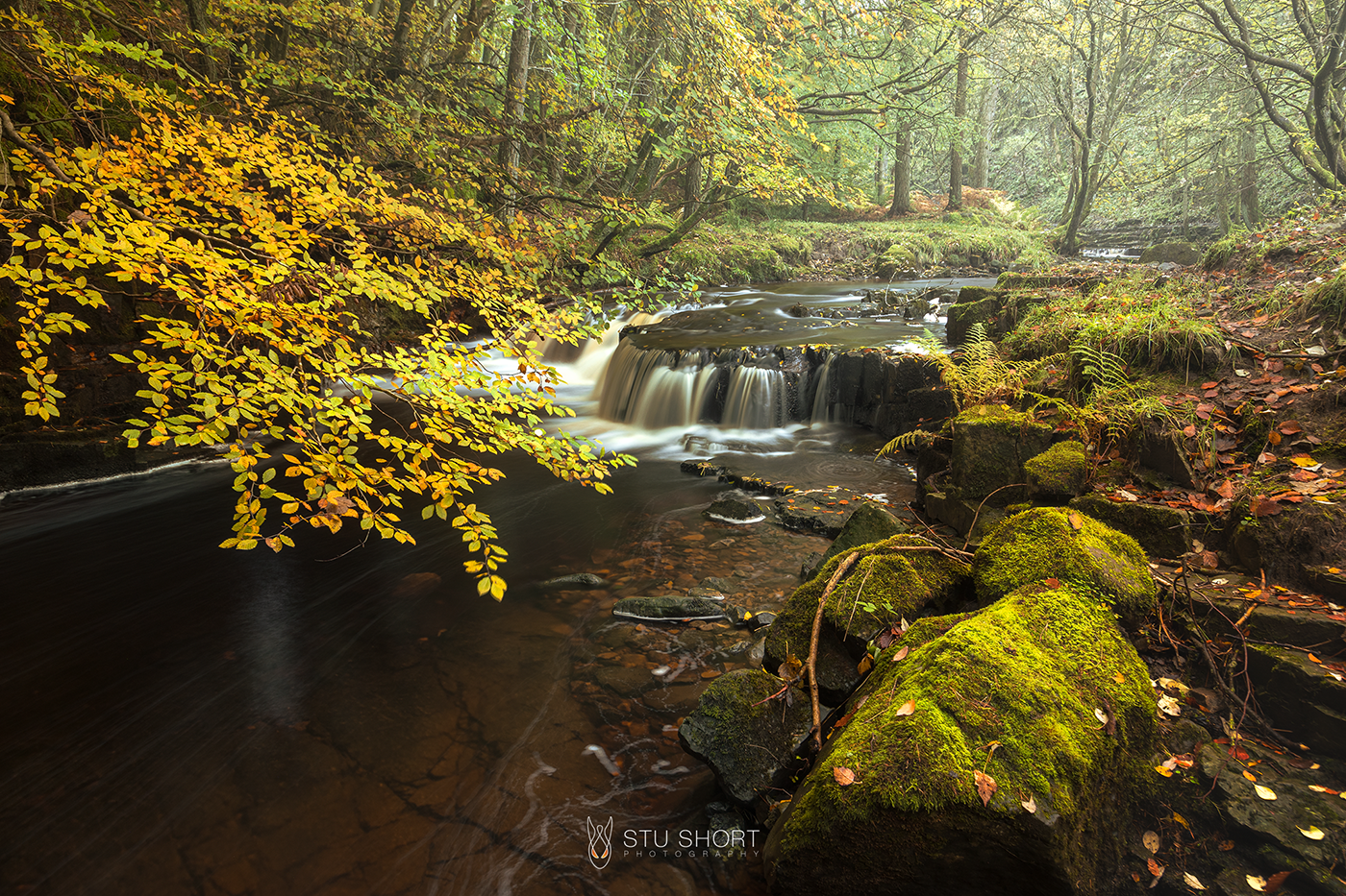 A picturesque river meanders through a dense forest, dotted with moss covered rocks and framed by lush autumn coloured trees, inviting exploration.