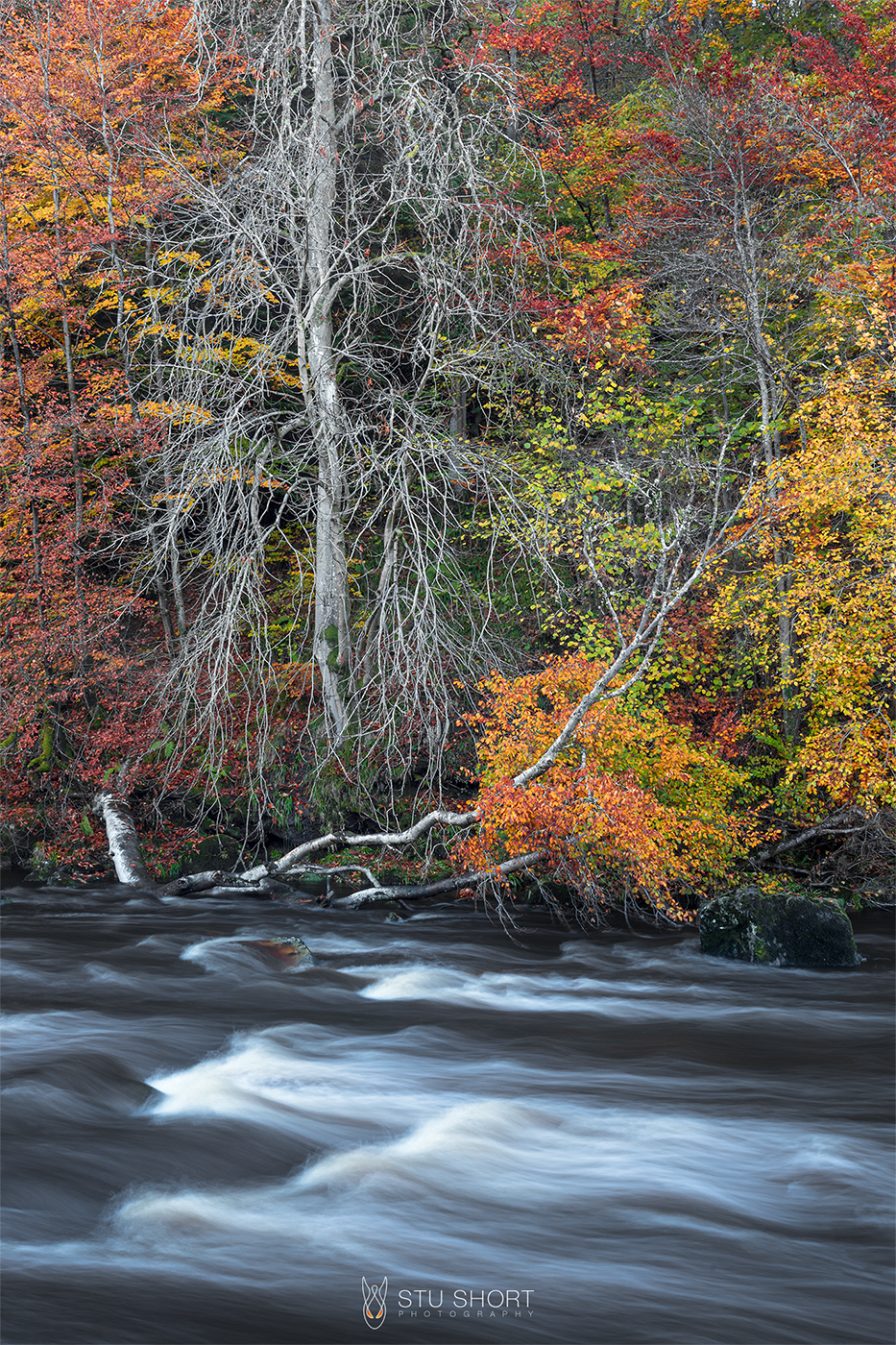 A tranquil river leads past a vibrant autumn landscape, framed by trees of red and yellow in the background, embodying nature's beauty.