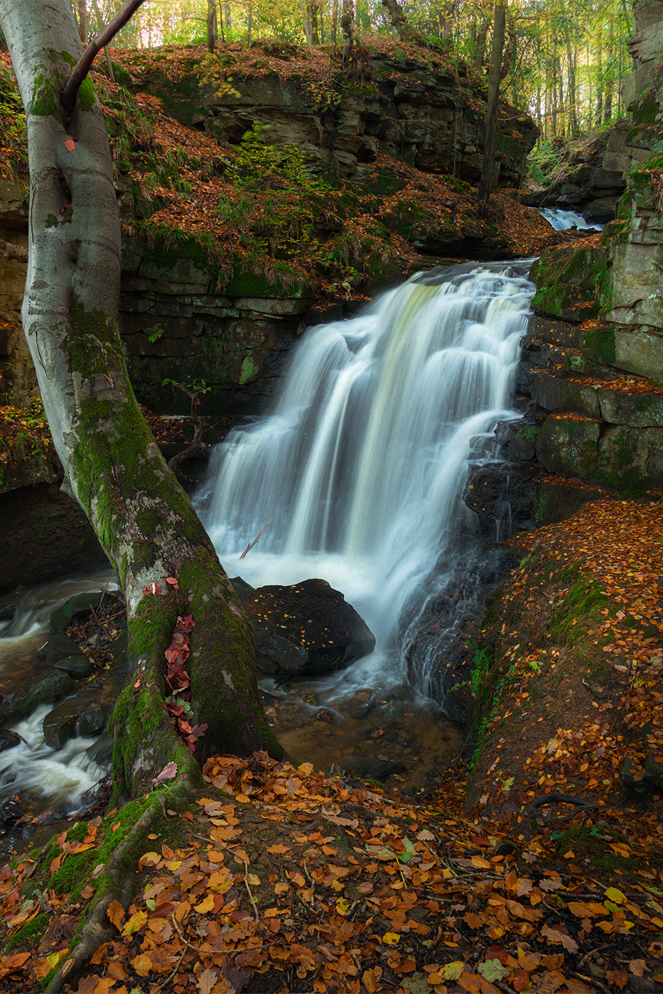 A waterfall in full spate flows through a dense woodland, framed by green trees and autumn-hued leaves.