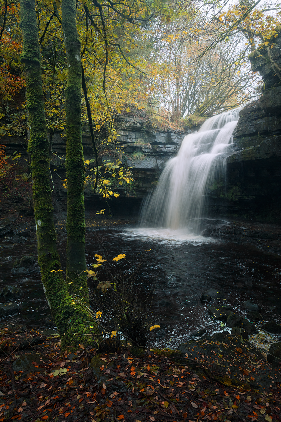 A picturesque waterfall tumbles over a rocky ledge in a forest setting, enveloped by leafy trees and a rich natural landscape.