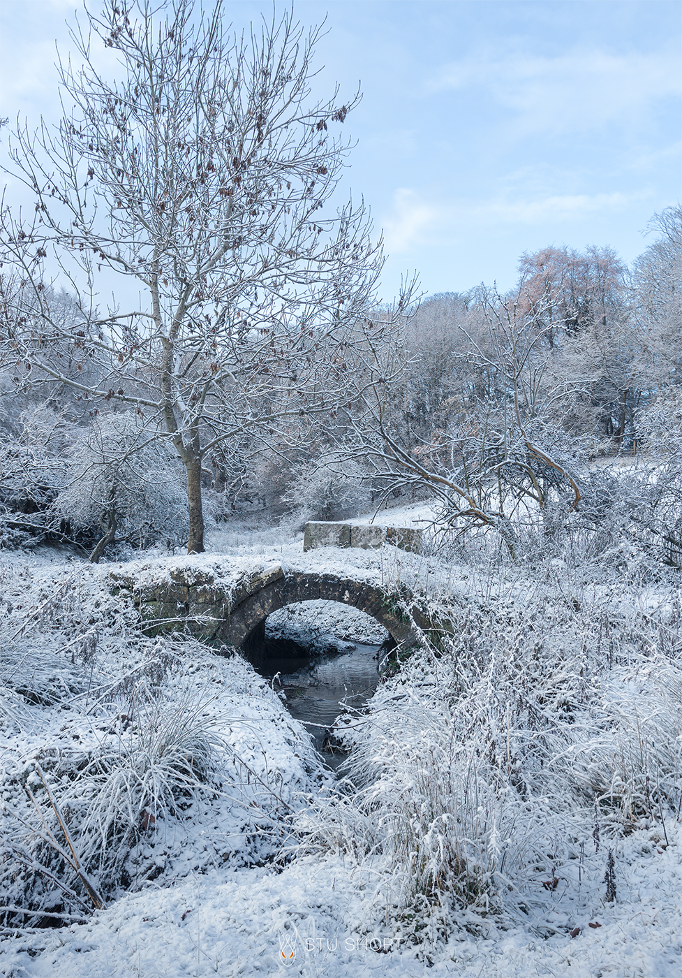 A picturesque winter scene with a bridge crossing a stream, surrounded by snow-covered trees in a tranquil park.