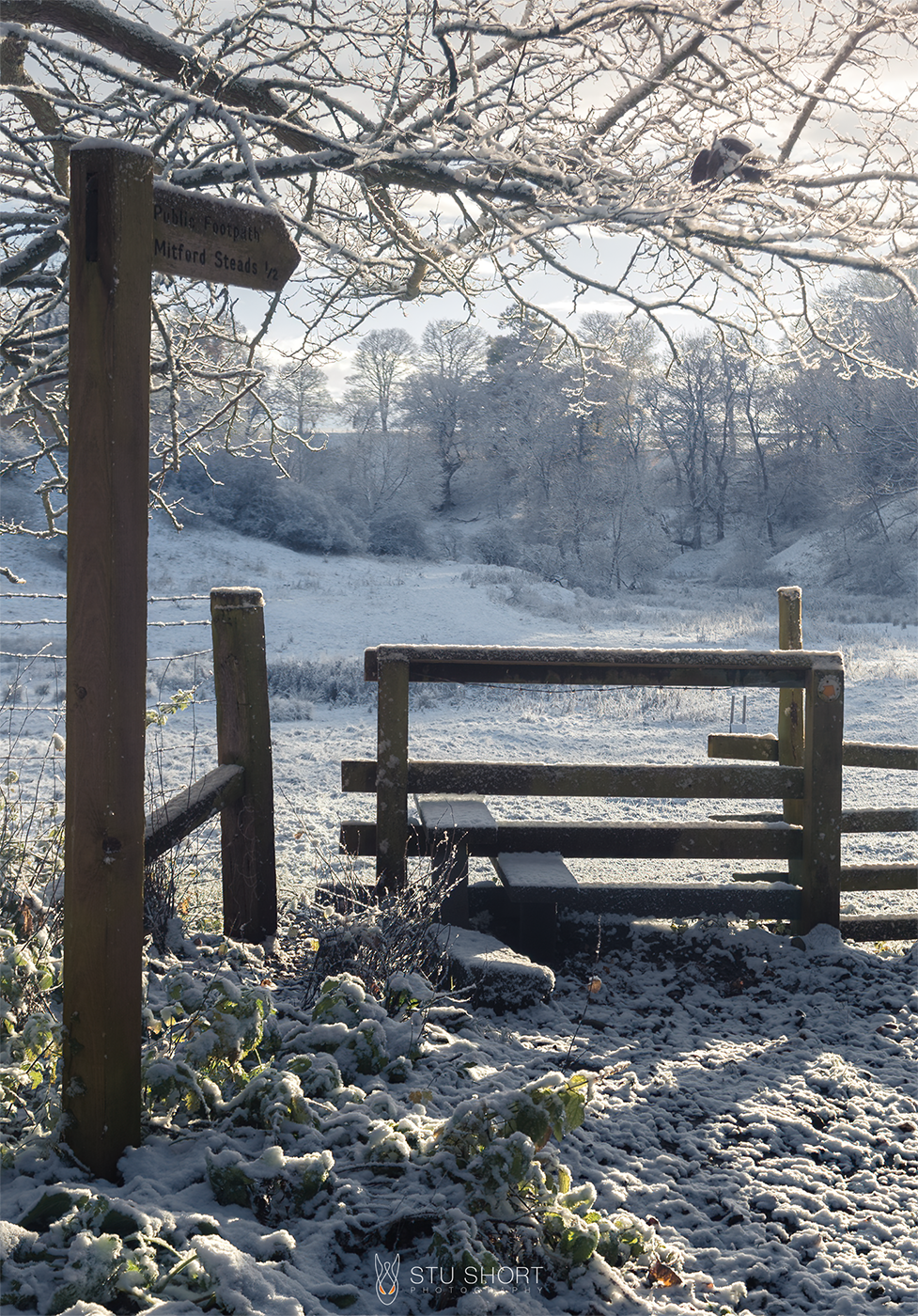 A picturesque snowy setting with a signpost, an inviting gate, leading into a snow covered field, embodying the beauty of winter.