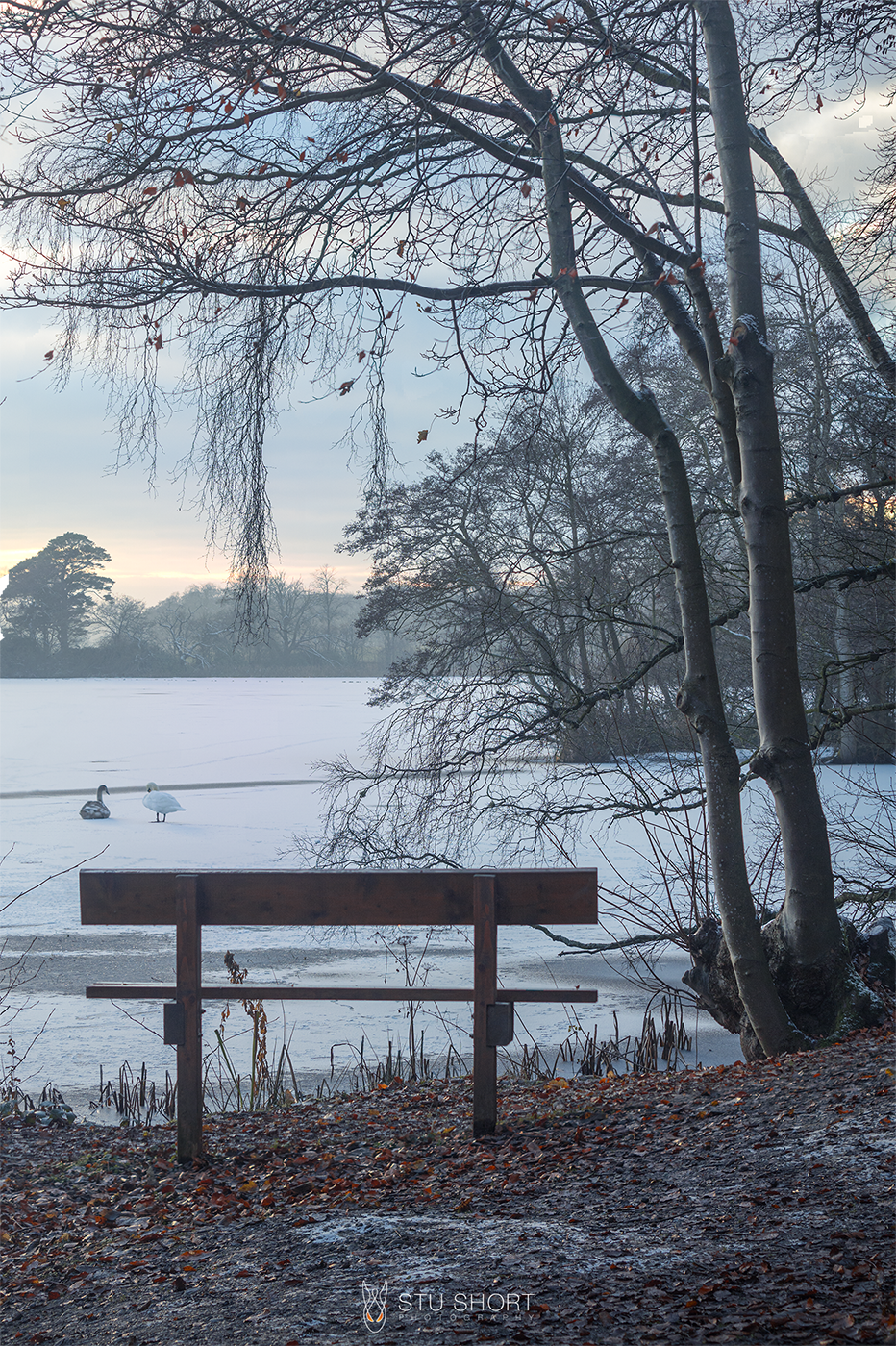 Winter landscape photography featuring a serene winter scene of a bench overlooking 2 swans standing on a frozen lake.