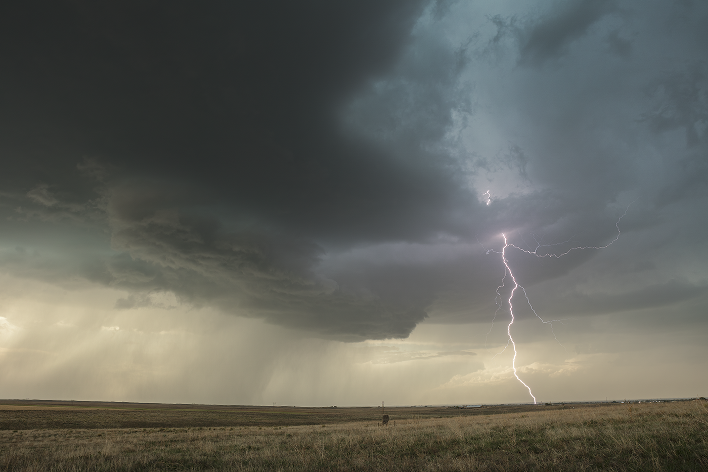 Forked lightning strike over grassland near Lamar, Colorado.