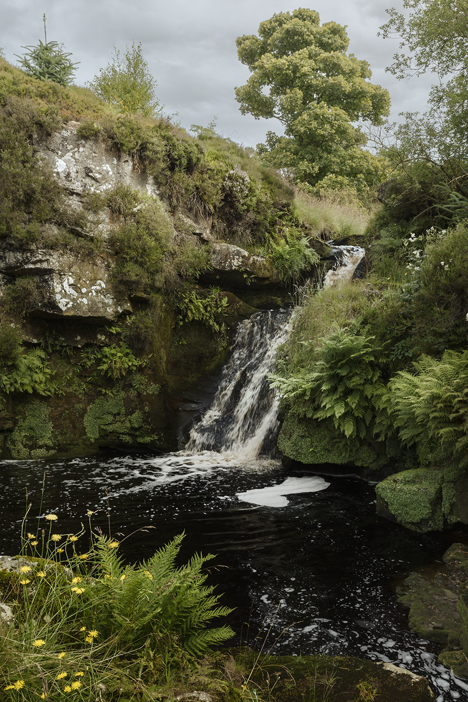 Middle Burn waterfall in summer surrounded by lush greenery.