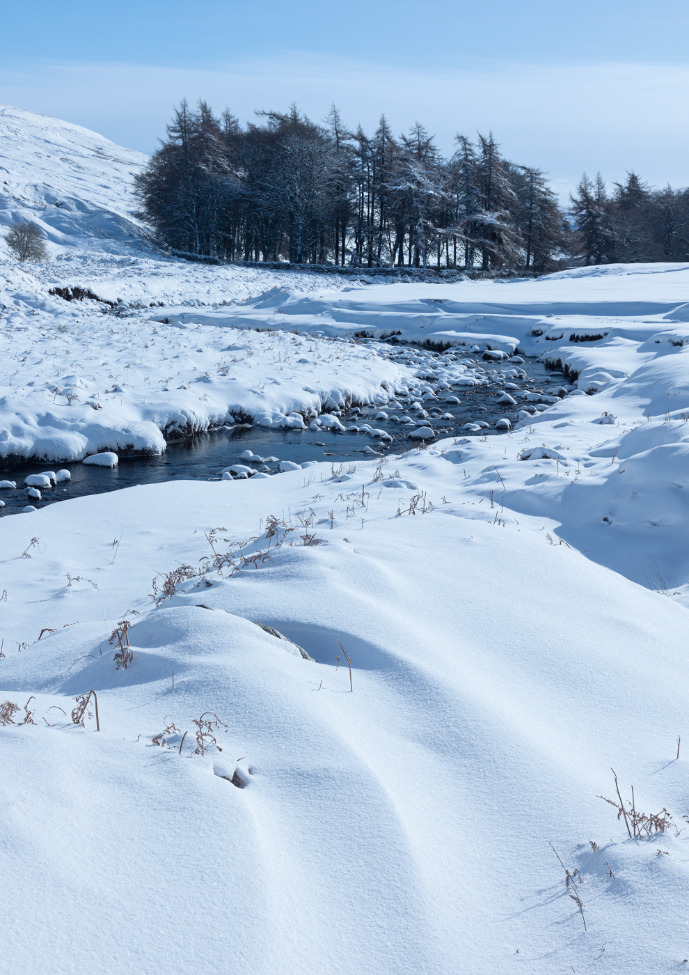 Snowy river valley landscape with a winding river and snow-covered trees.