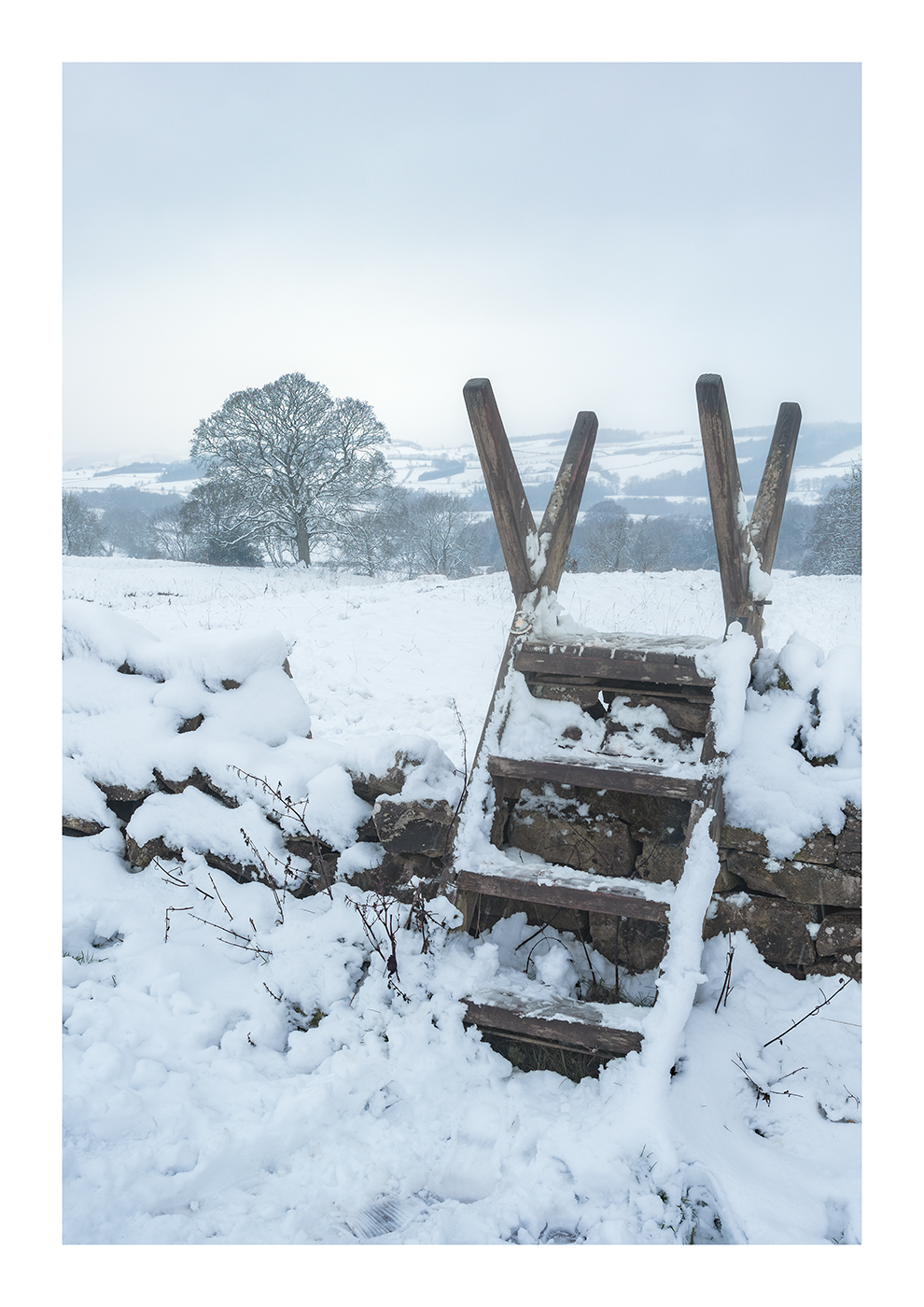 Snow-covered stile leading across a snowy field with a lone tree in the distance.