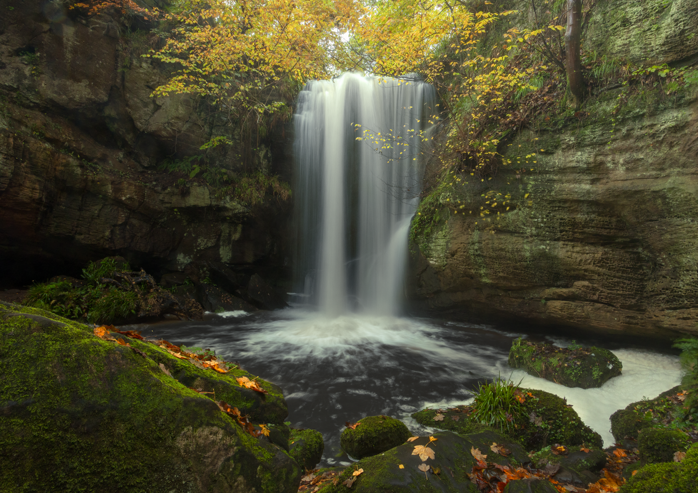 Waterfall cascading into a pool surrounded by autumn foliage in a forest.