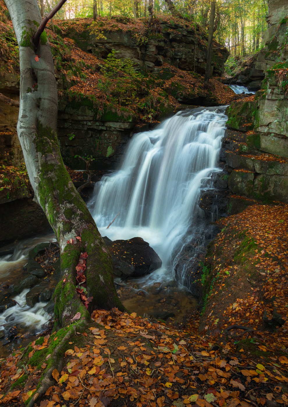 Waterfall cascading into a pool surrounded by autumn foliage in a forest.