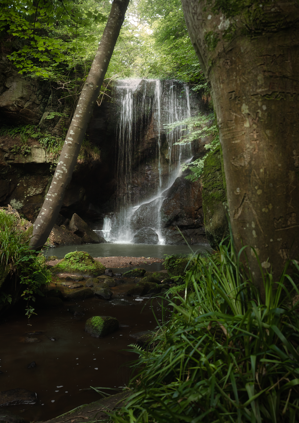 Silvery cascading aterfall framed by trees in summer