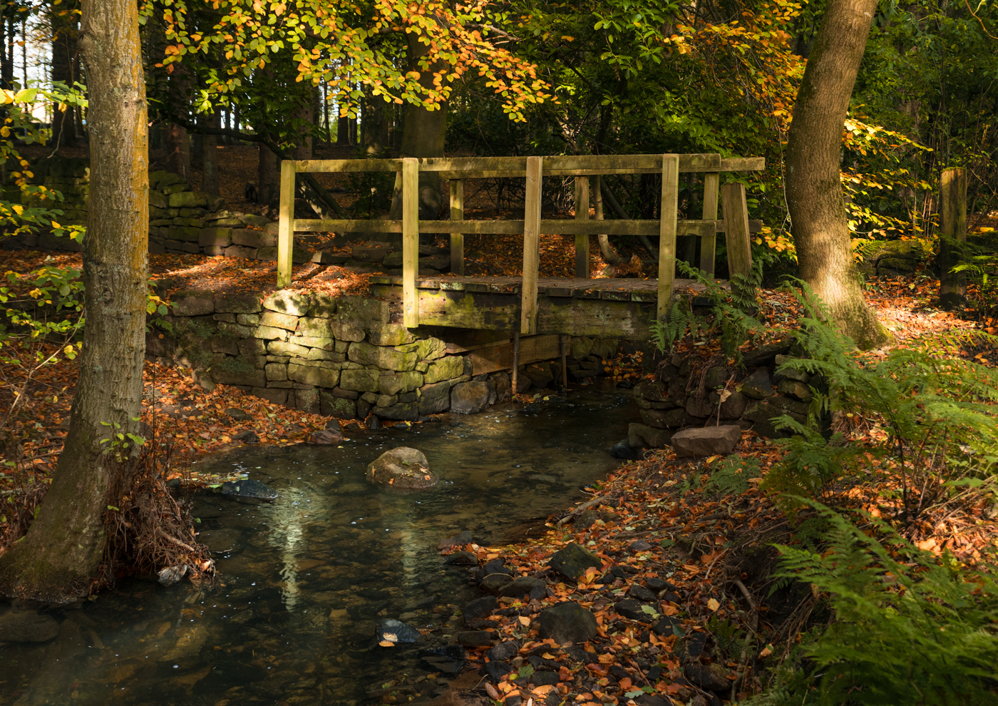 Footbridge over forest stream with colorful autumn leaves.