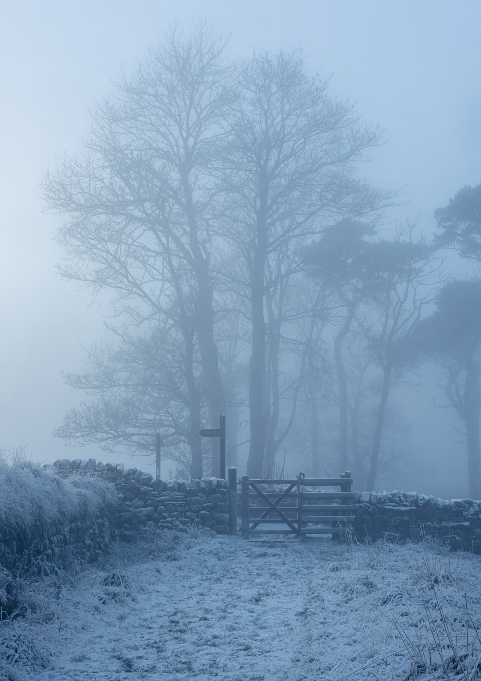 Snow covered landscape with signpost and gate with tall trees disappearing into an icy fog.