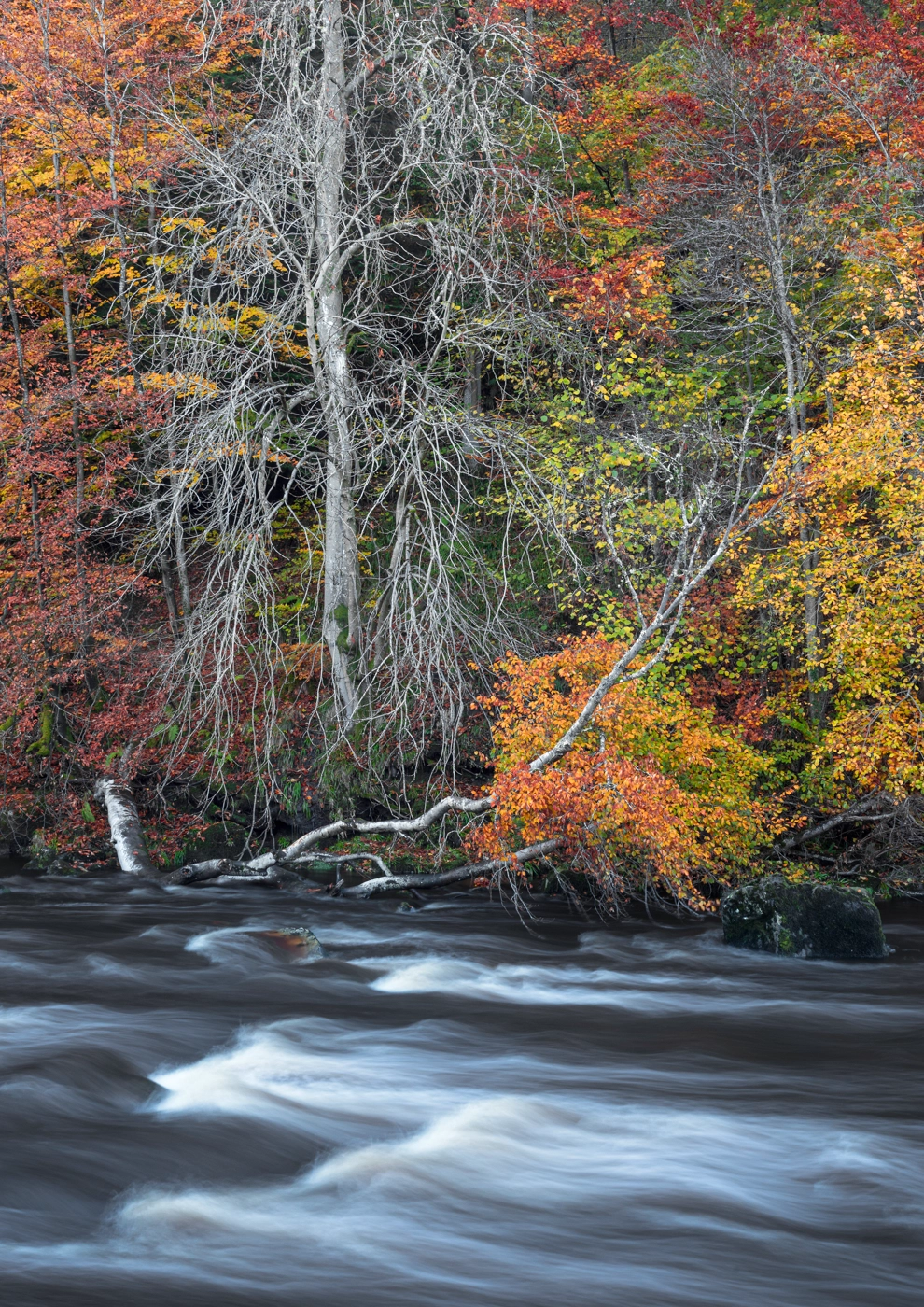 River flowing through a woodland with colorful autumn foliage.